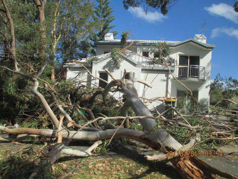 Almighty Trees & Demolition - Click Find 0