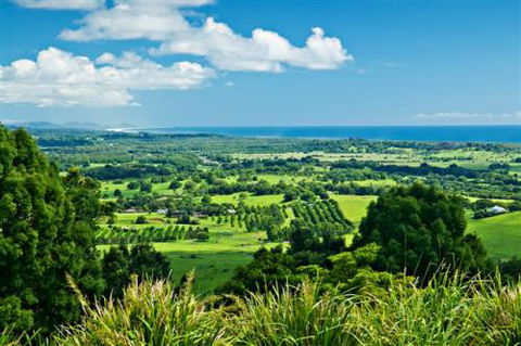 GNF Real Estate - Click Find 1