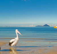 L J Hooker Nelson Bay - Click Find