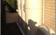 Sweeney’s Pumps & Irrigation - thumb 2