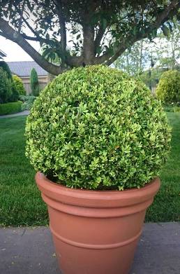 Bowral Mowers - Click Find 2