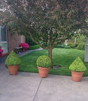 Bowral Mowers - Click Find 3