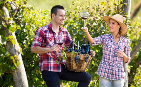 Two Tails Wines - Click Find 0