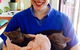 Killarney Vale Veterinary Clinic - thumb 1