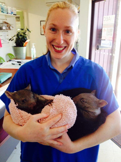 Killarney Vale Veterinary Clinic - Click Find 1