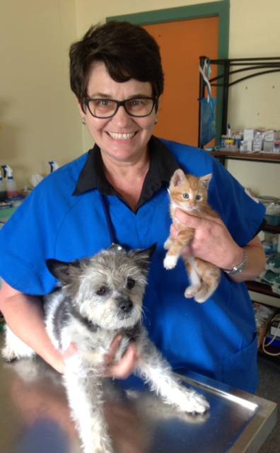 Killarney Vale Veterinary Clinic - Click Find 4