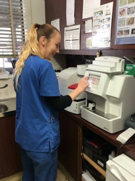 Killarney Vale Veterinary Clinic - Click Find 12