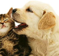 One Stop Pet Supplies - Click Find