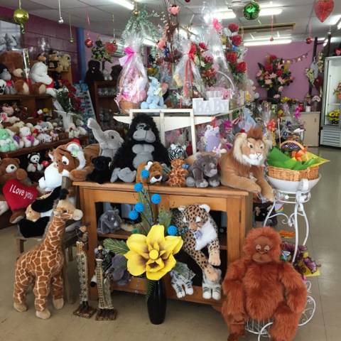 Florists Supplies Rockhampton QLD Click Find
