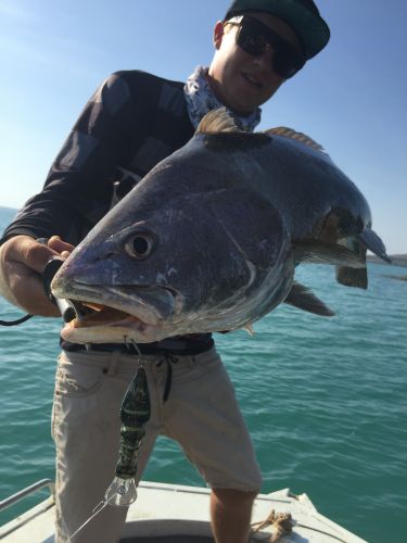 The Tackle Box NT - Bridge Guide 0