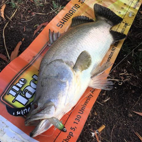 The Tackle Box NT - Bridge Guide 1