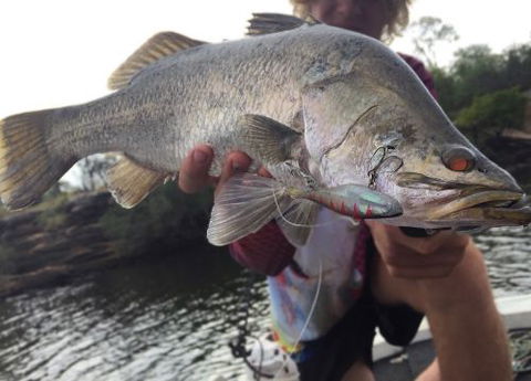 The Tackle Box NT - Bridge Guide 2