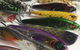 The Tackle Box NT - thumb 3