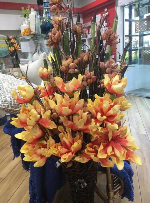 Harrington Waters Village Pharmacy - Bet 4u 0