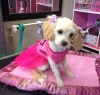 Lyns Total Pet Care - Click Find