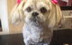 Lyns Total Pet Care - thumb 1