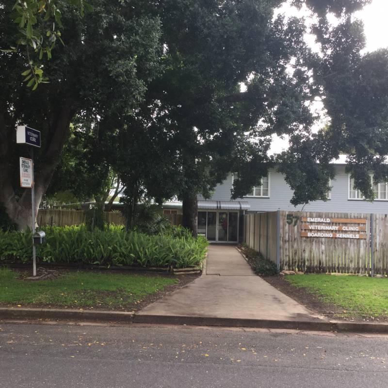Dog Boarding Kennels Emerald QLD Click Find