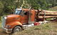 Log Check Forestry - thumb 0
