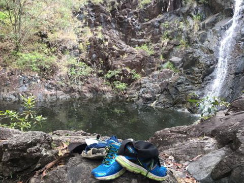 Hinchinbrook Hiking- Scenic Tours - Click Find 4