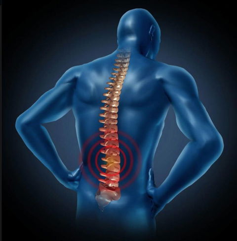 Body In Motion Physiotherapy - Click Find 1