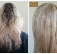 Looking Wild  Fabulous Hair Salon - Click Find