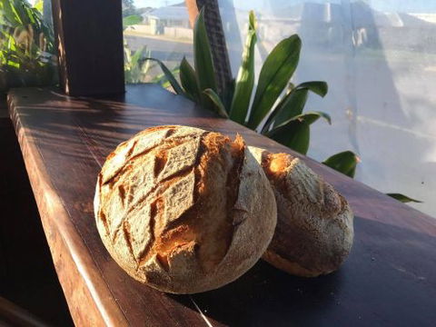 Casuarina Place Bakery - DBD 0