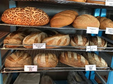 Casuarina Place Bakery - DBD 1