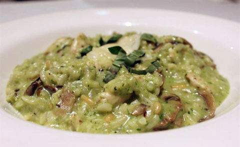 Biviano's At Windsor - Bet 4u 17