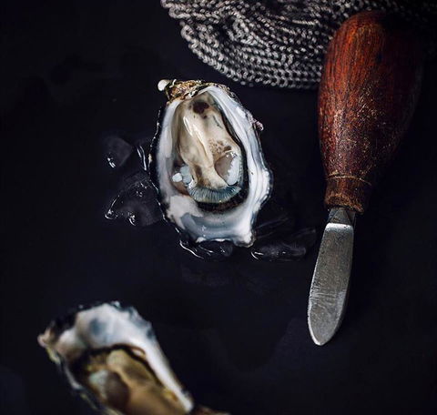 Shuck - Local Finder 4