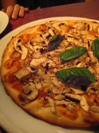 Tiamo - Click Find 0