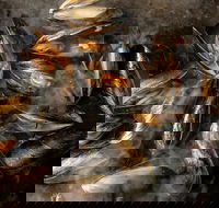 MoVida Next Door - Local Finder