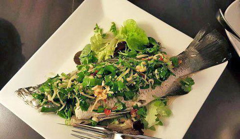 Paladarr - Bet 4u 15