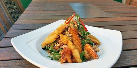 Paladarr - Bet 4u 16