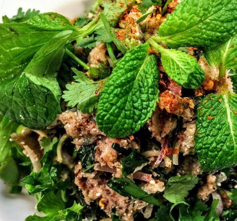 Paladarr - Bet 4u 20