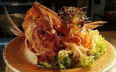 Paladarr - Bet 4u 23