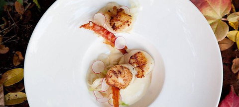 Pod Food - Click Find 0