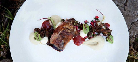 Pod Food - Click Find 14