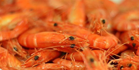 Wheelers Seafood Restaurant - Lawyer Find 27