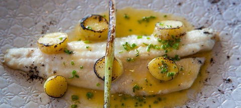 Knee Deep In Margaret River Restaurant - Bet 4u 0