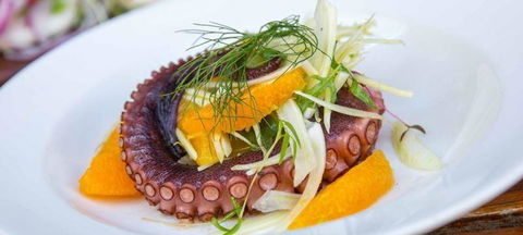 O Bar & Restaurant - Click Find 3