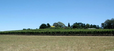 Toy's Garden Restaurant - Bet 4u 1