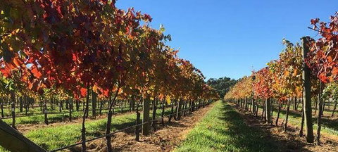 Toy's Garden Restaurant - Bet 4u 3