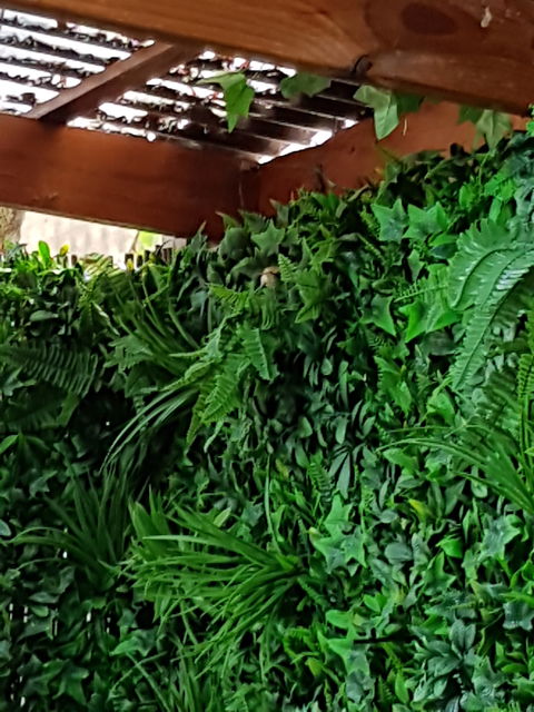 Secret Garden Cafe & Patisserie - Lawyer Find 5