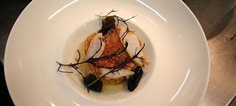 The Peak Restaurant At Spicers Peak Lodge - DBD 1