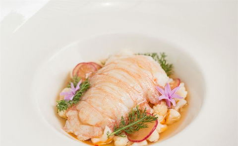 The Peak Restaurant At Spicers Peak Lodge - DBD 8