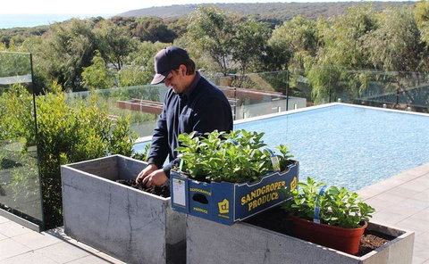 Other Side Of The Moon Restaurant - Click Find 5