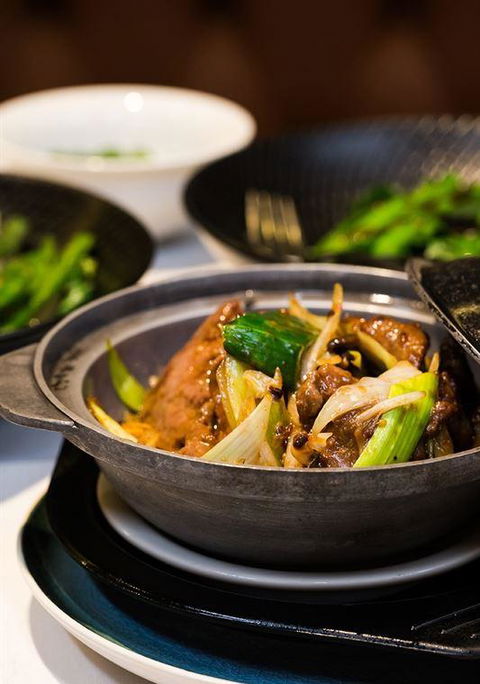 Serendip - Bet 4u 10