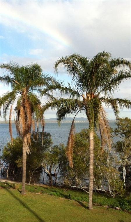 The Pantry On Egmont - Bridge Guide 4