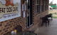 Fat Dog Cafe & Restaurant - thumb 1