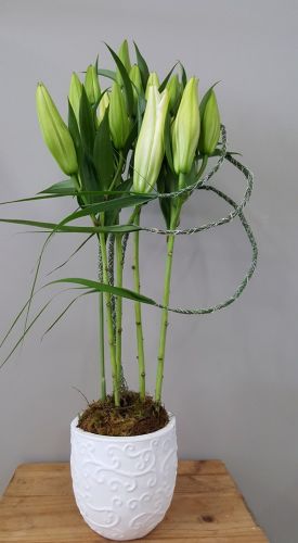 Warners Bay Florist - Click Find 0